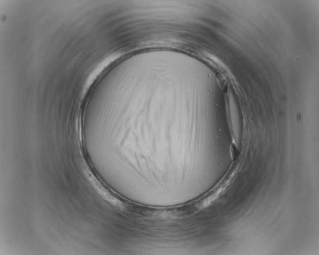 X0000062910796200602031856