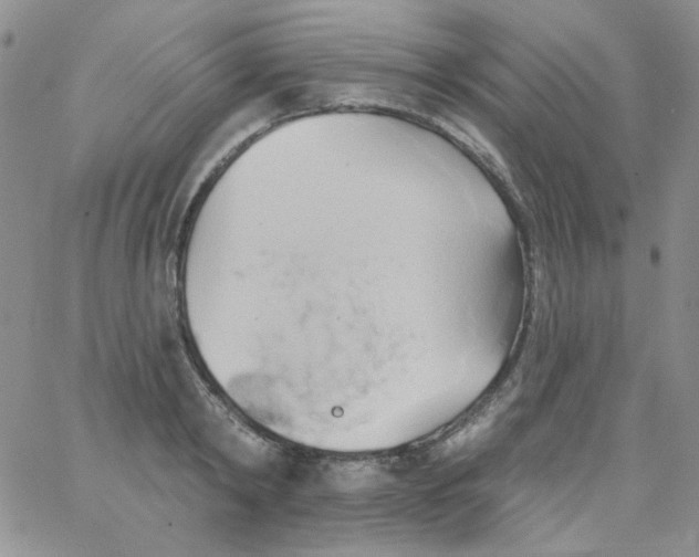 X0000062910798200602031855