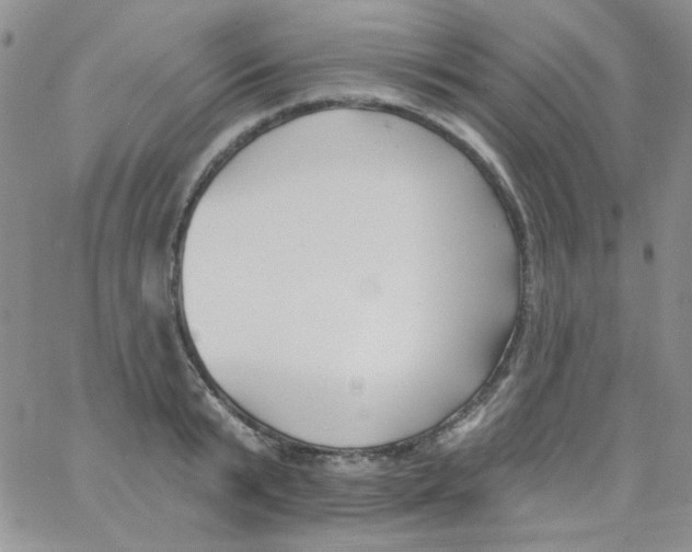 X0000062910799200602031855