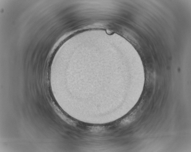 X0000062910800200602031855