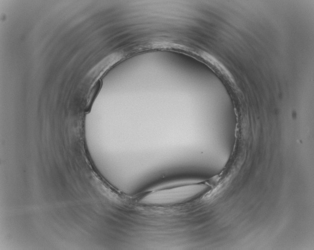 X0000062910801200602031855