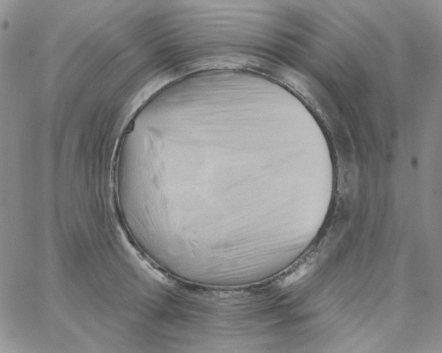 X0000062910802200602031855