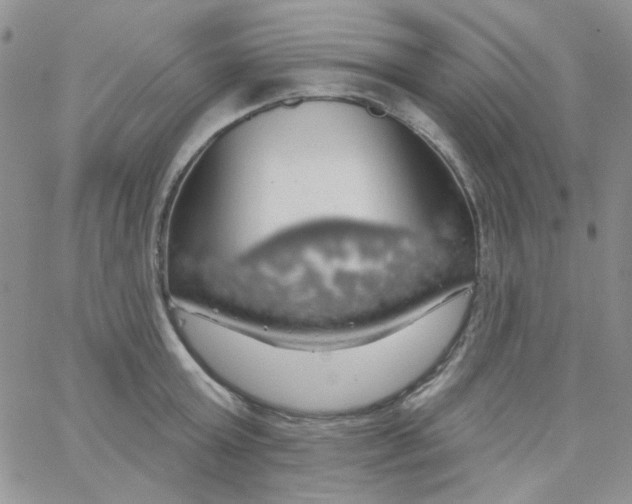 X0000062910803200602031855