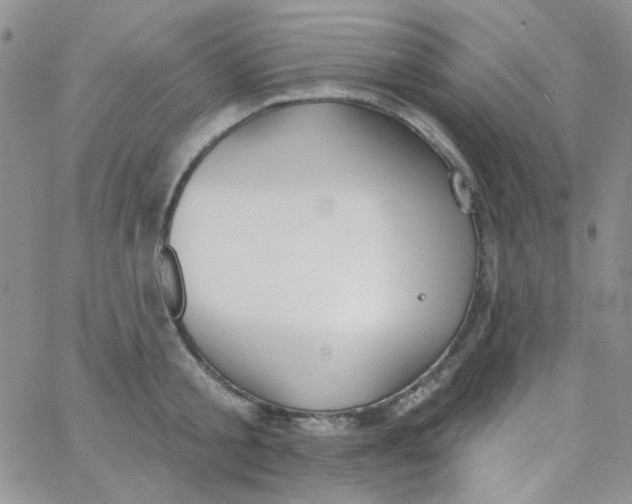 X0000062910805200602031855