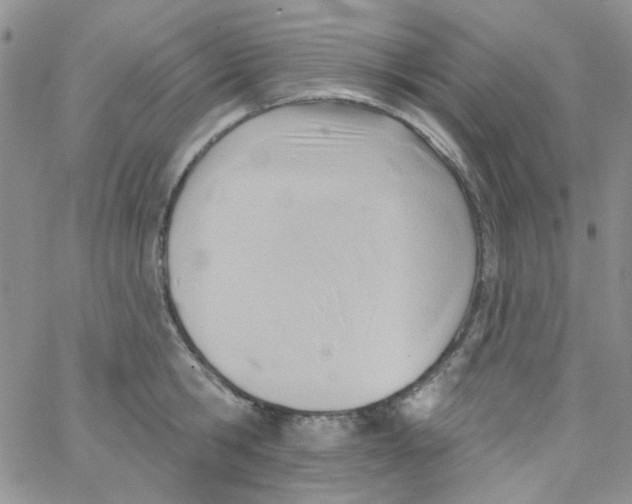 X0000062910806200602031855