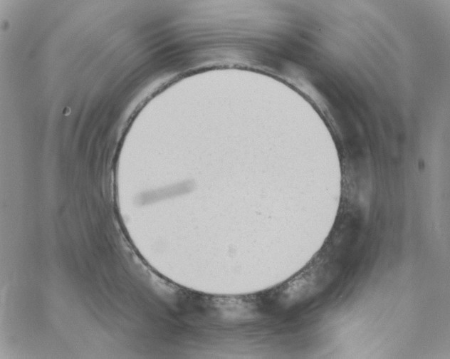 X0000062910807200602031855