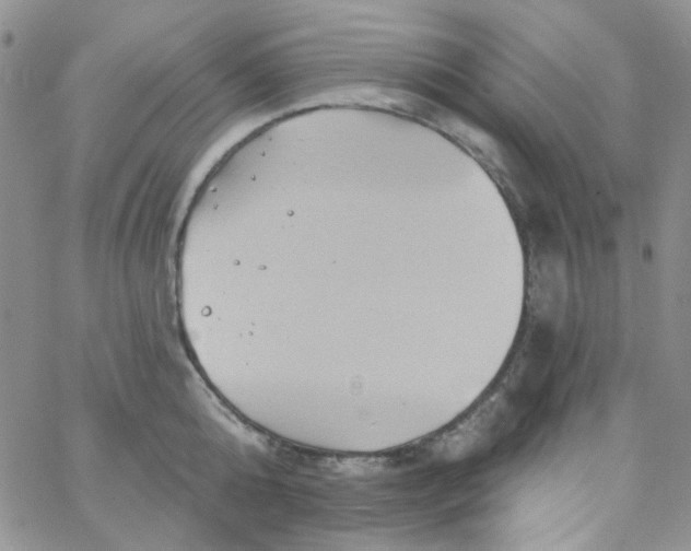 X0000062910808200602031855