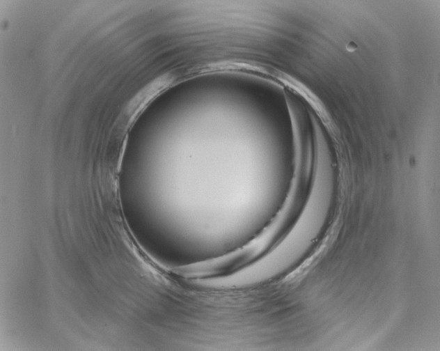 X0000062910809200602031855