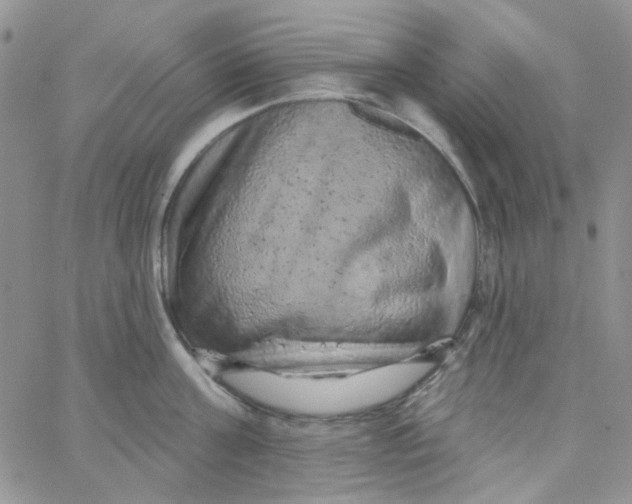 X0000062910811200602031855