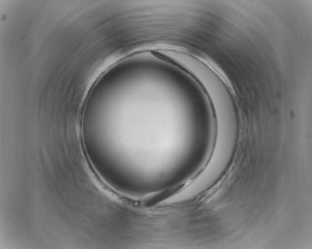 X0000062910813200602031855