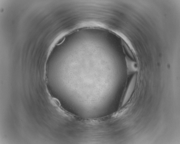 X0000062910815200602031855