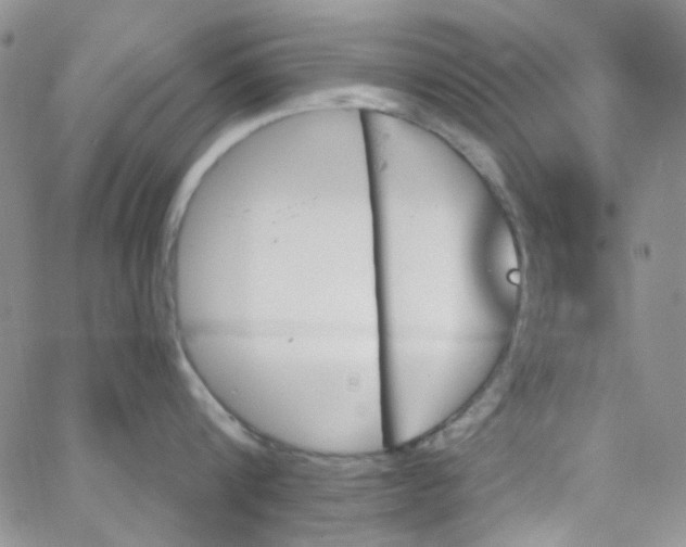 X0000062910816200602031855