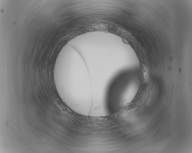 X0000062910819200602031854