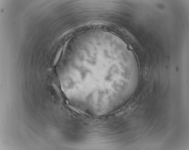 X0000062910821200602031854