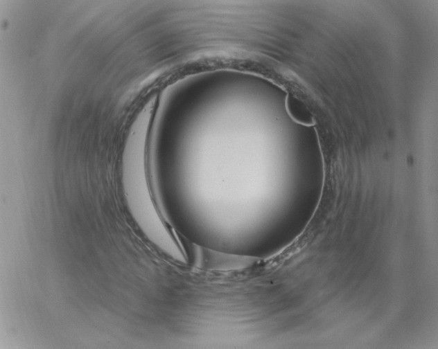 X0000062910822200602031855