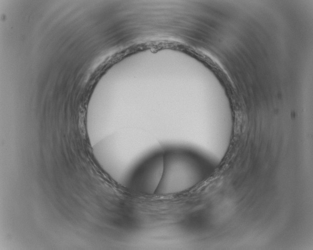 X0000062910823200602031855