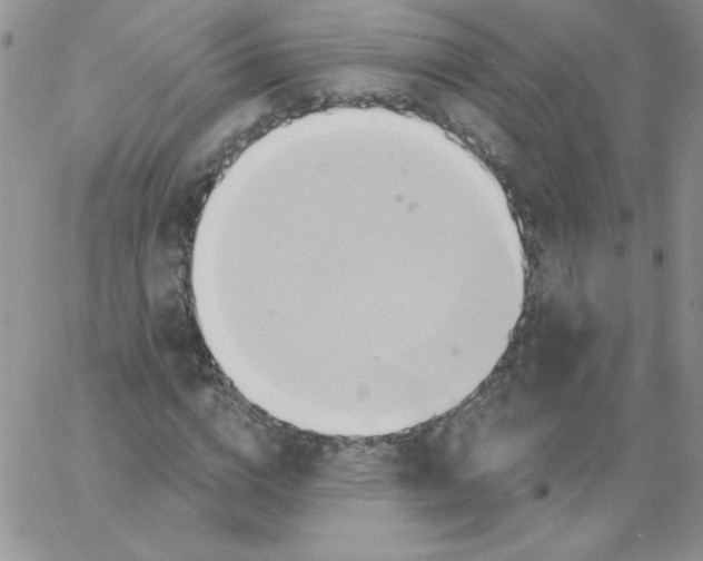 X0000062910824200602031855