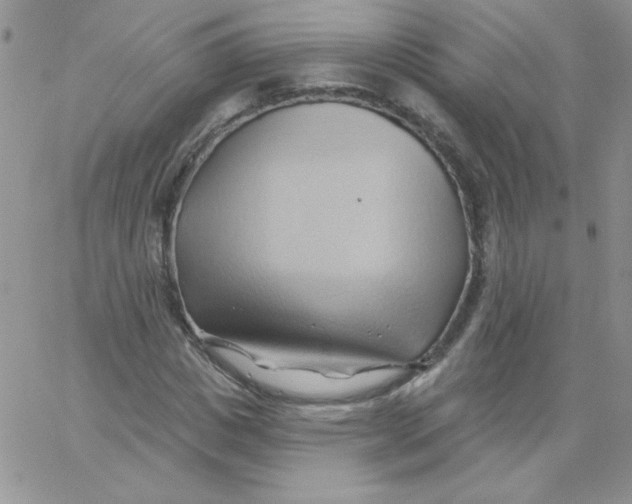 X0000062910825200602031855