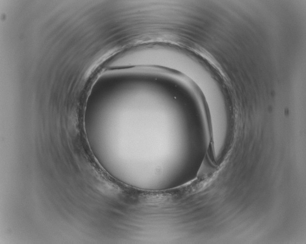 X0000062910826200602031855