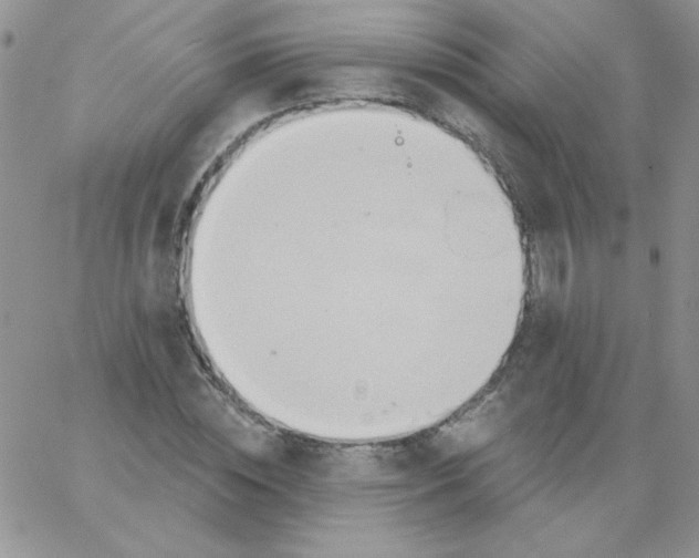 X0000062910828200602031855