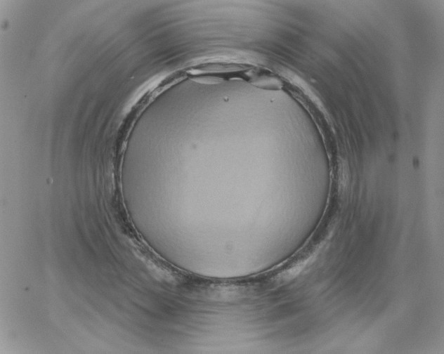 X0000062910829200602031855