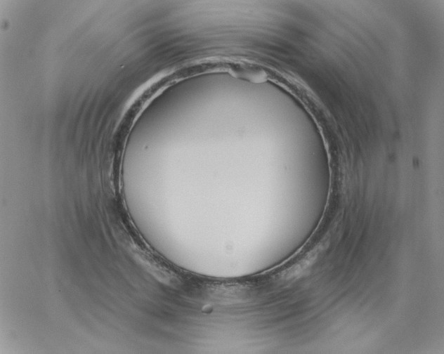 X0000062910830200602031855