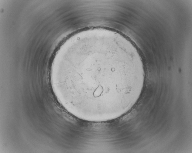 X0000062910832200602031855