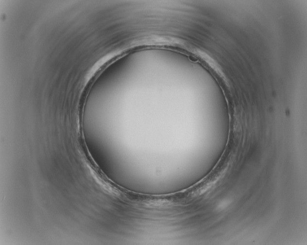 X0000062910837200602031855