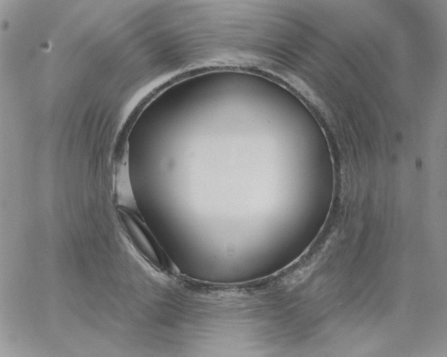 X0000062910838200602031855