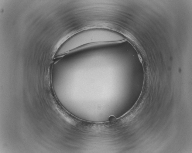 X0000062910842200602031855