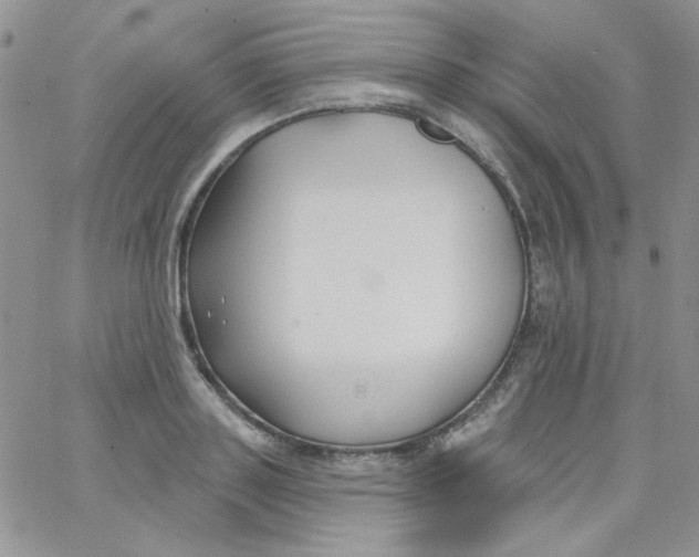 X0000062910843200602031855