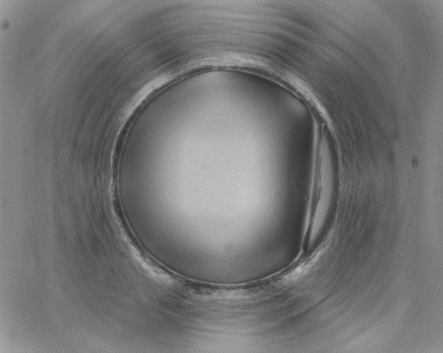 X0000062910845200602031855