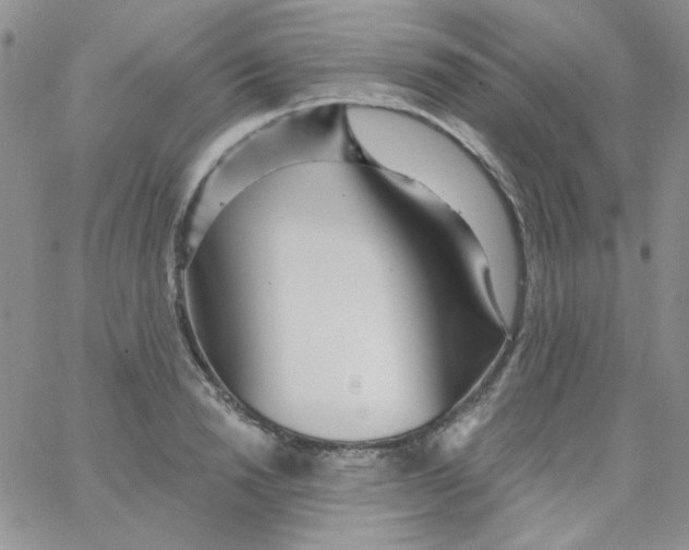 X0000062910846200602031855