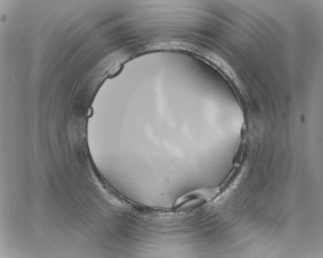 X0000062910849200602031855