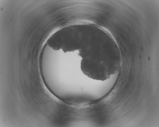 X0000062910851200602031855