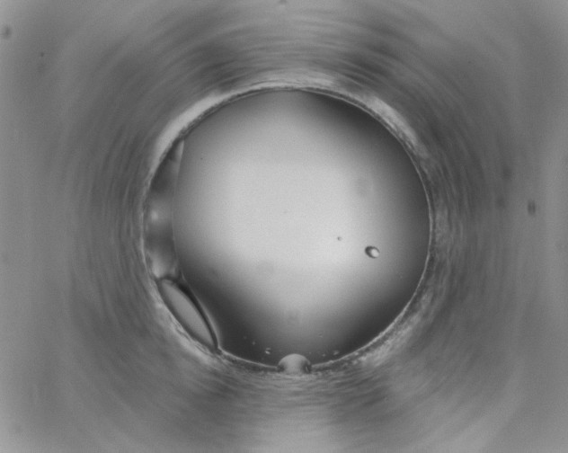 X0000062910854200602031855