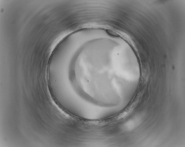 X0000062910855200602031855