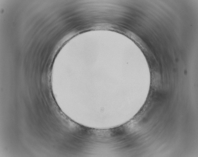 X0000062910856200602031855