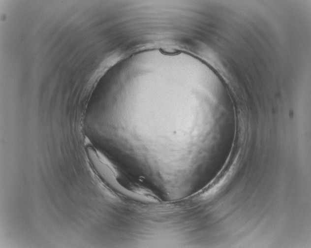 X0000062910857200602031855