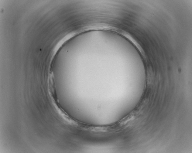 X0000062910861200602031855