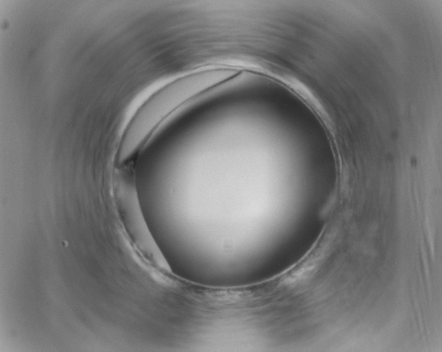 X0000062910862200602031855