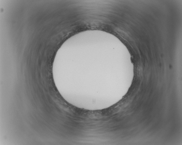 X0000062910865200602031854