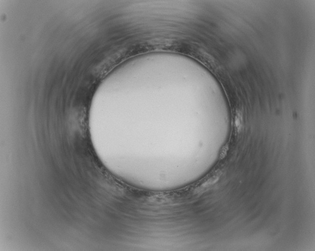 X0000062910867200602031854