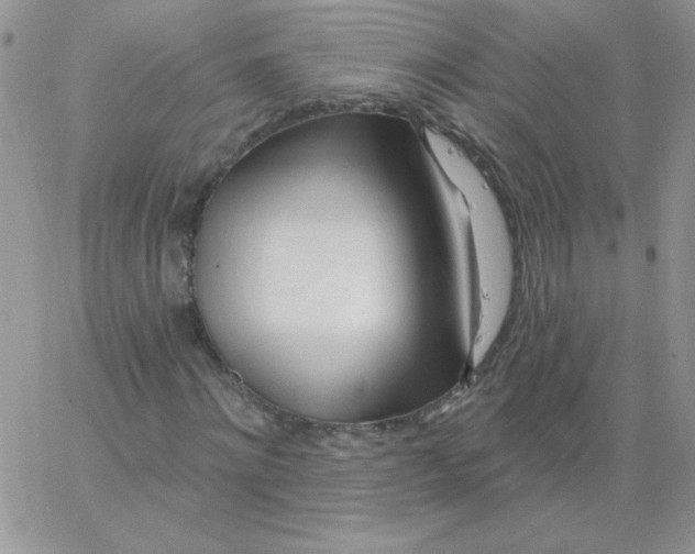 X0000062910868200602031854