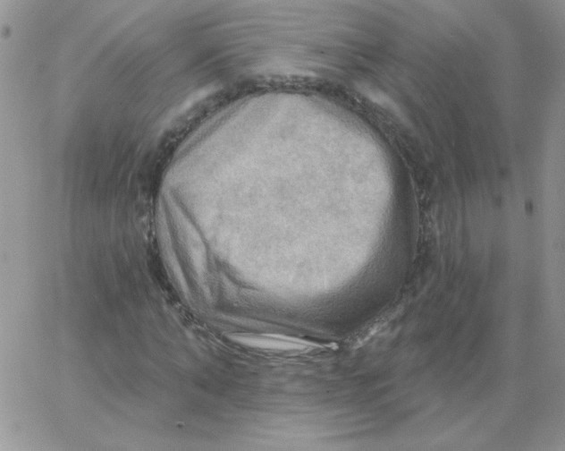 X0000062910870200602031854