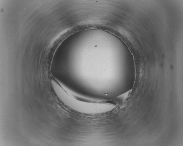 X0000062910872200602031854