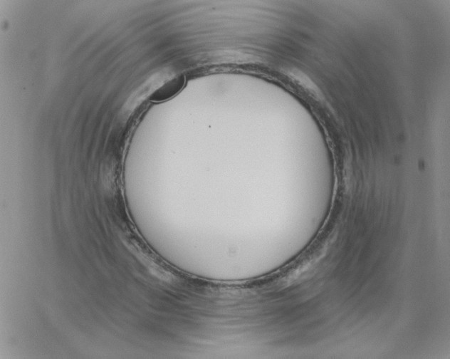 X0000062910873200602031854