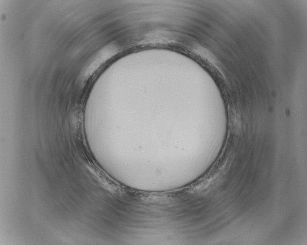 X0000062910874200602031854