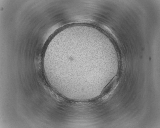 X0000062910875200602031854