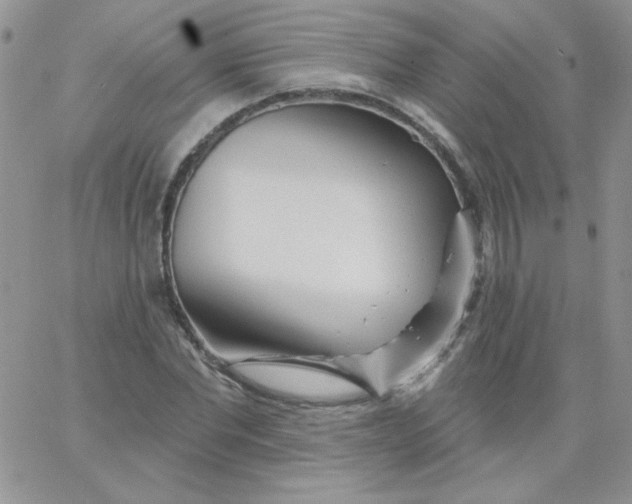 X0000062910877200602031854